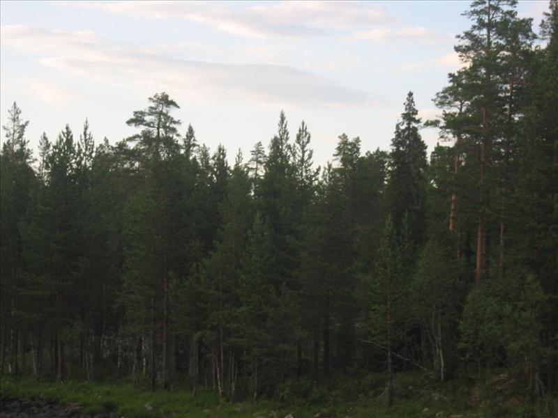 Sweden 2006-04 147
